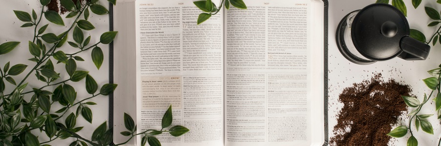 A bible opened to John 16:22, surrounded by cut greenery