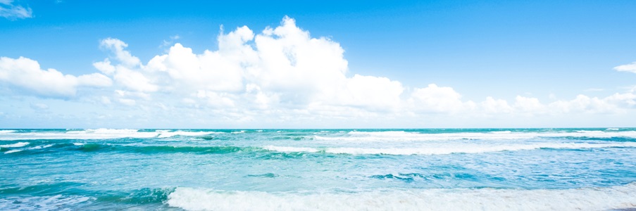 Person standing at the waterline on a beach