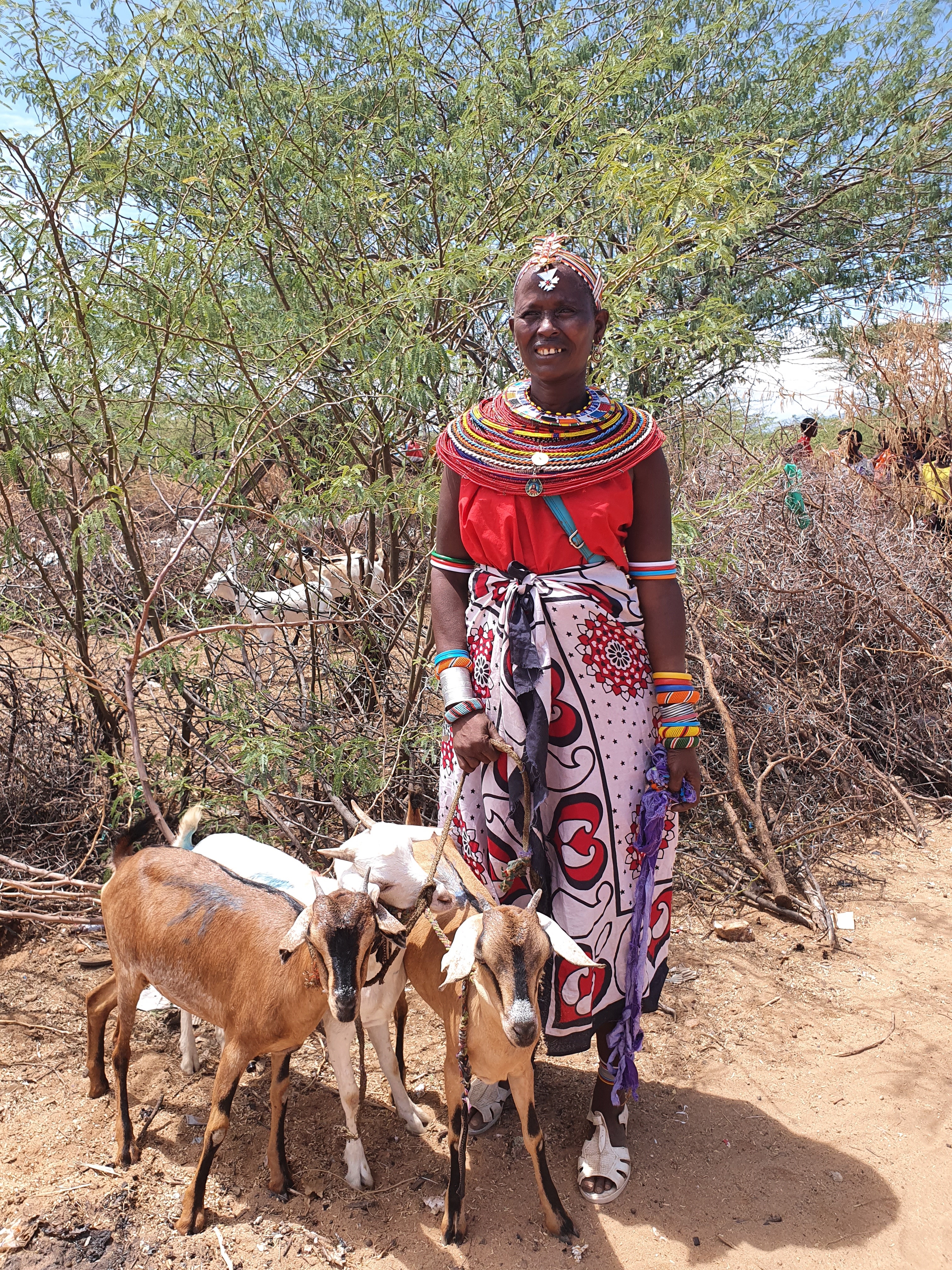 6 - ERDO Gift Catalogue - Goats 20201019_111013