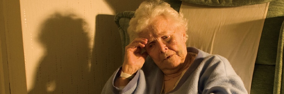 Financial Abuse of Seniors 