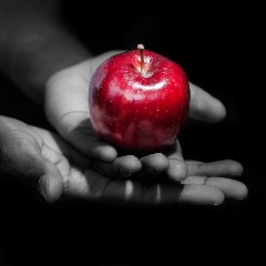 A black and white image with a full colour red apple inside hands.